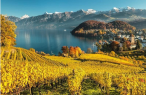 Швейцарските вина